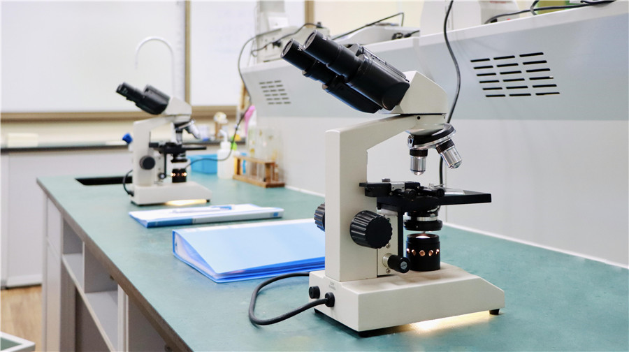 深圳十大国际学校实力排名 深圳十大国际学校实力排名