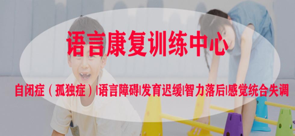 成都排名前十的自闭症语言开发训练机构