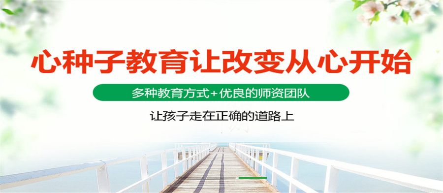 山东心种子叛逆孩子教育学校