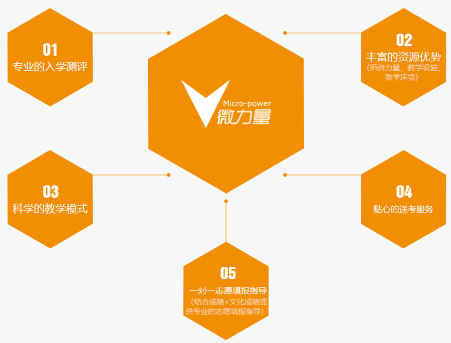 2022长沙十大高考志愿填报指导机构排名