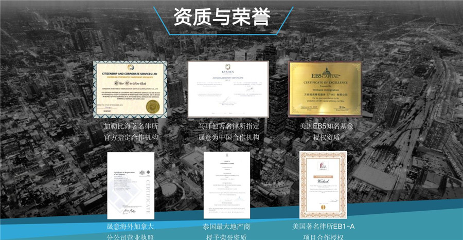 国内十大土耳其移民中介机构实力排名