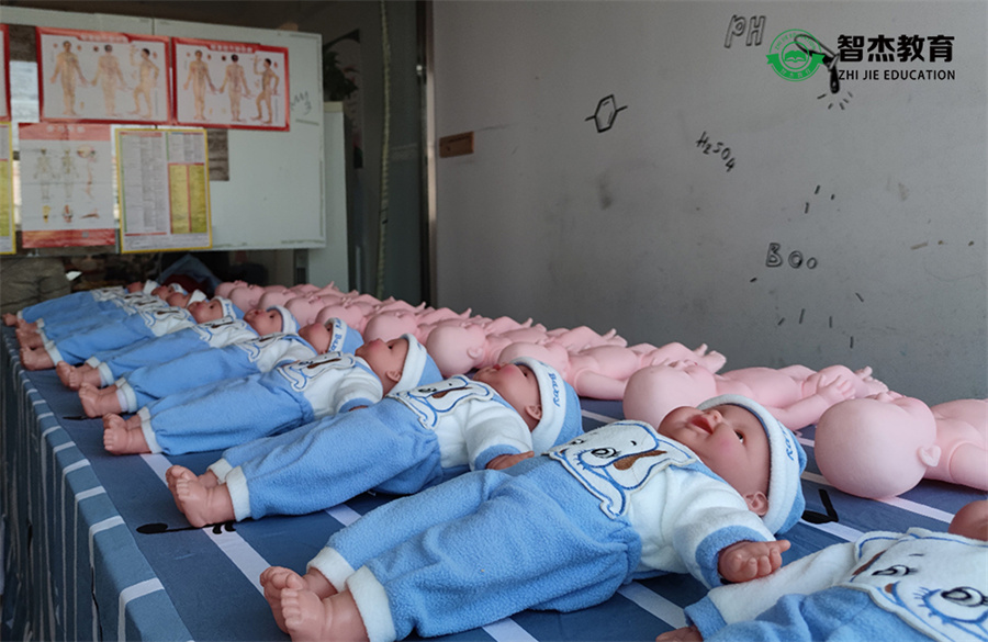 眉山10大育婴师月嫂培训机构排名 眉山10大育婴师月嫂培训机构排名