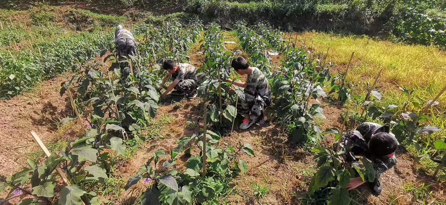 宜宾10大叛逆少年军事化特训学校排名