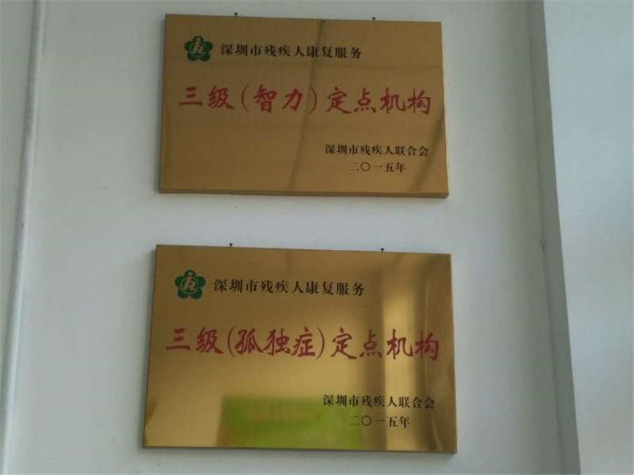 深圳十大正规自闭症康复训练机构实力排名 深圳十大正规自闭症康复训练机构实力排名