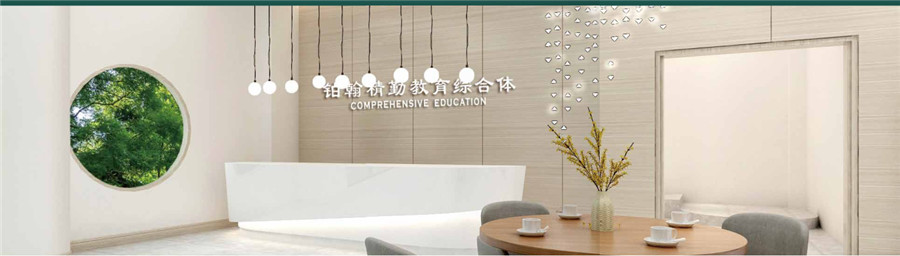 郑州十大艺考文化课冲刺班实力排名