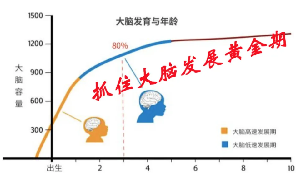 祥和家庭教育儿童感统训练机构 祥和家庭教育儿童感统训练机构