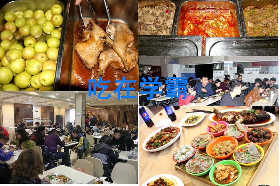 新疆2022高三一对一辅导机构十大排名