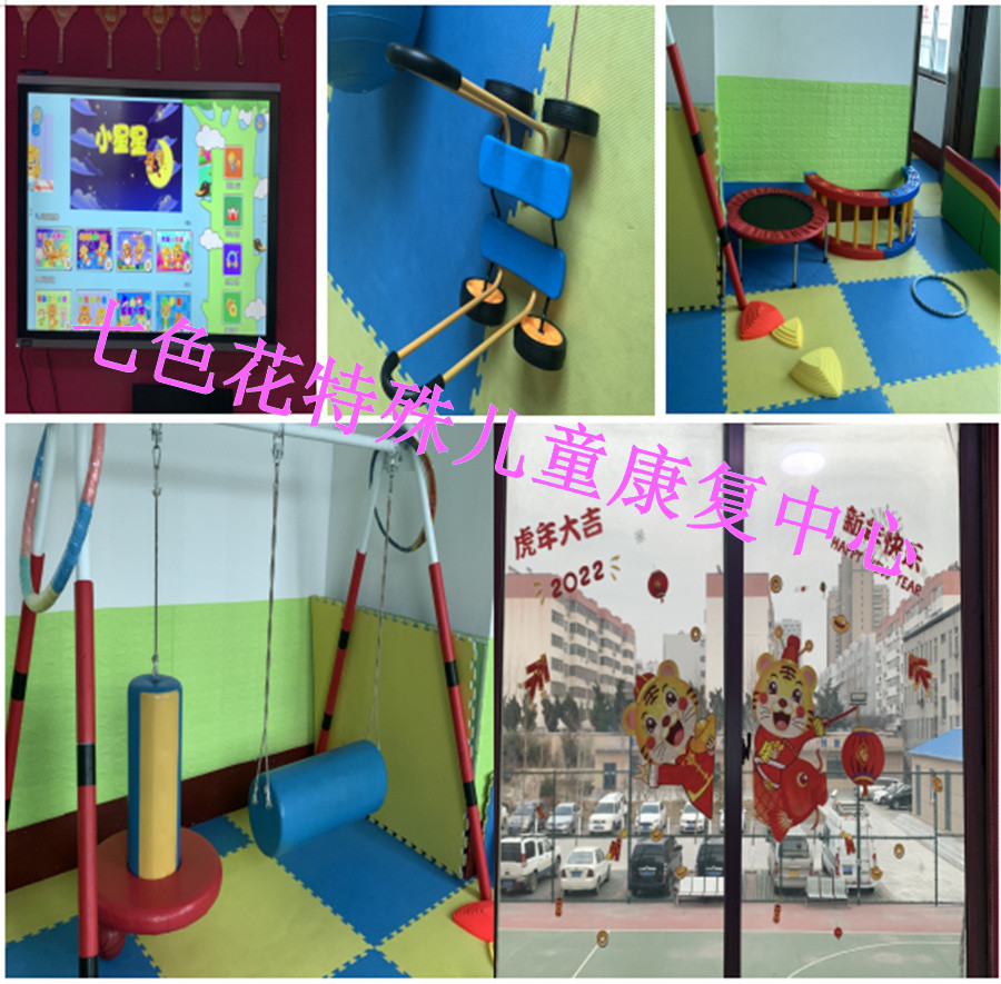 莱芜哪里有语言发育迟缓儿童康复中心-七色花儿童康复中心
