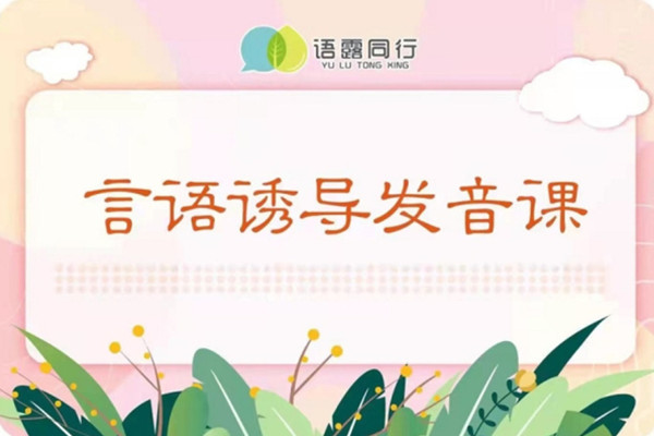 言语诱导发音课 言语诱导发音课