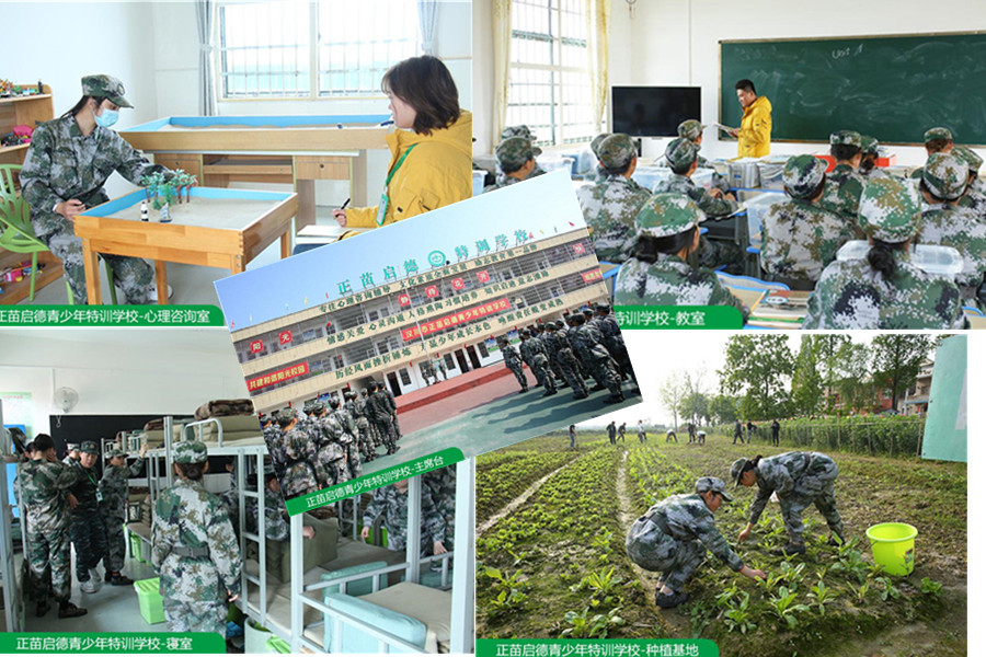 浙江绍兴五大军事化戒网瘾改造学校排名-正苗启德
