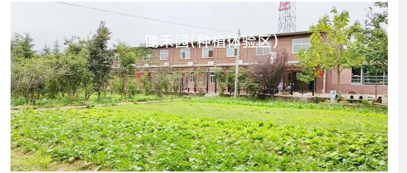 河南十大叛逆教育学校排名一览 河南十大叛逆教育学校排名一览