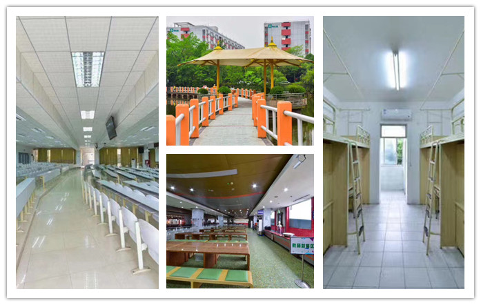 四川五大法律考研全科培训班排名一览