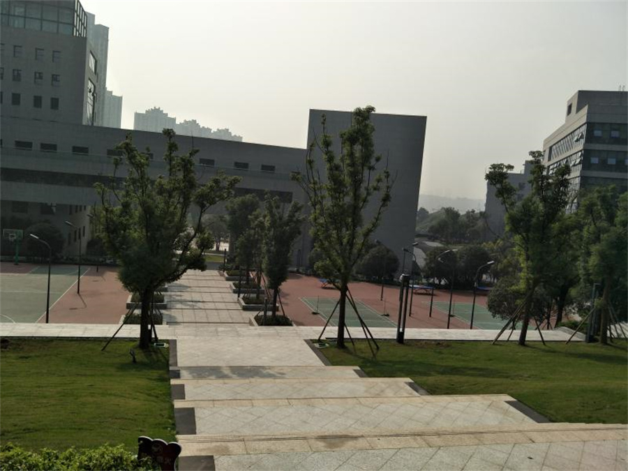 四川高人气IT职业教育培训机构排行榜一览