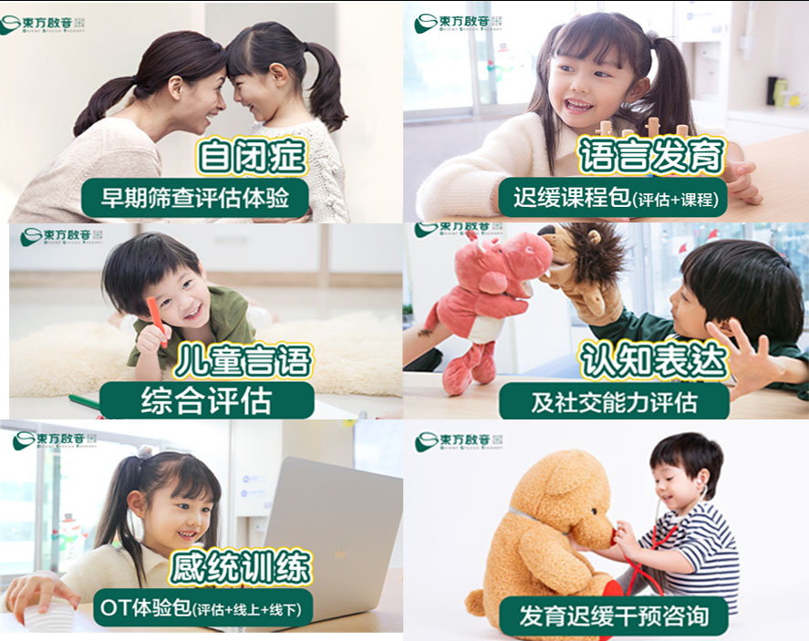 东方启音自闭症干预机构