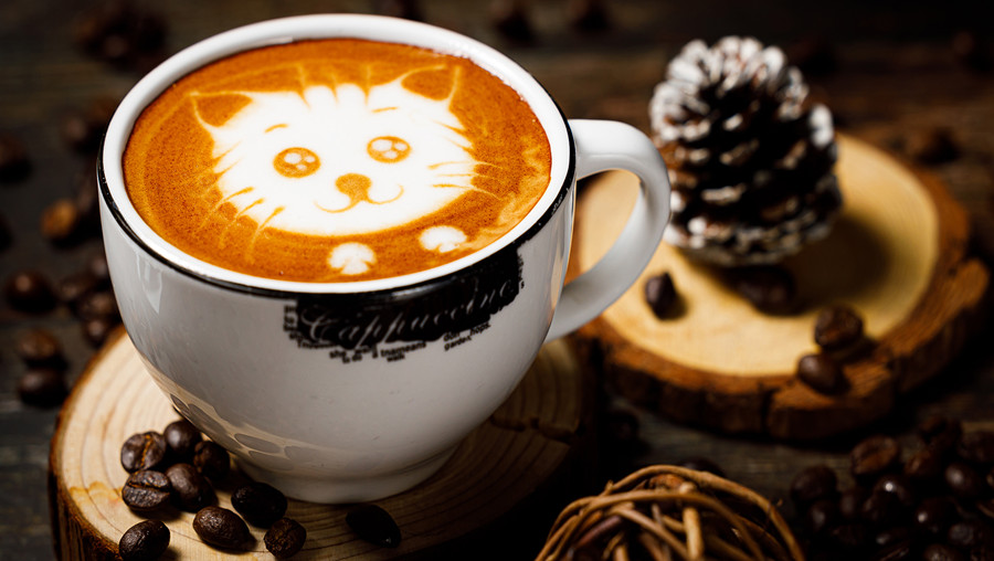 十大咖啡培训学校排名一览名单