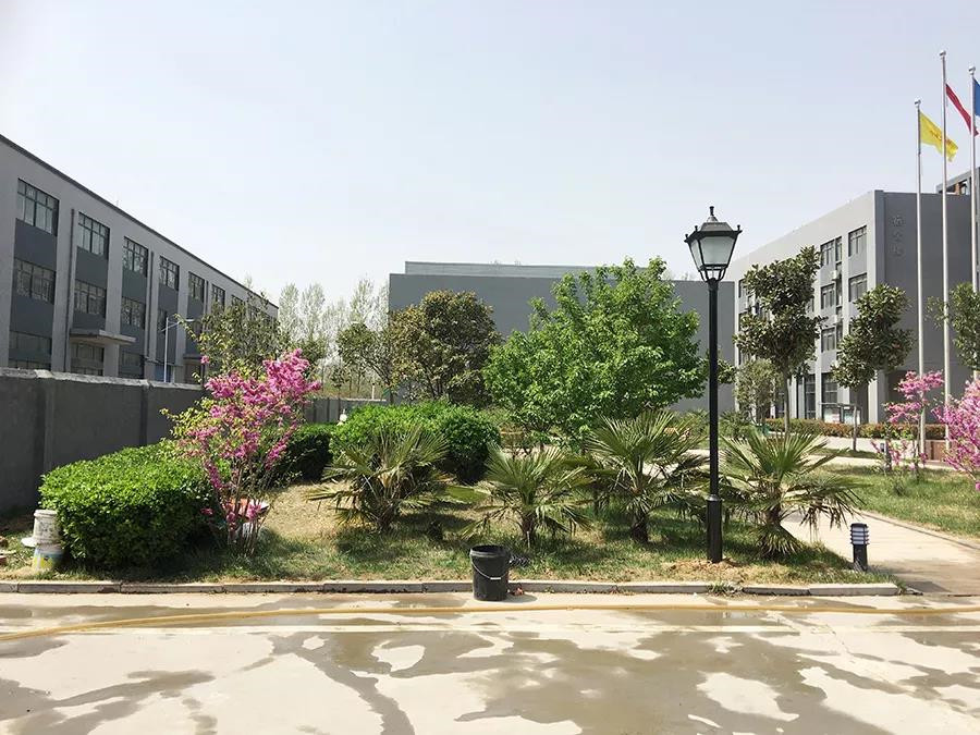 新郑三大美术特长生集训学校排名一览