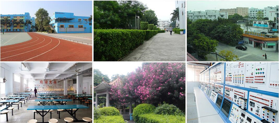 深圳十大成人教育培训机构排名一览