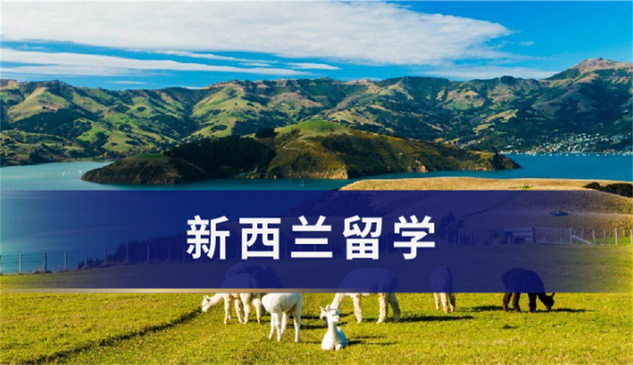十大国内新西兰留学中介机构排名一览