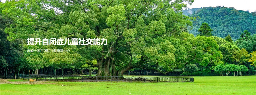 十大赤峰阿鲁科尔沁旗自闭症康复训练中心排名一览-赤峰星之路