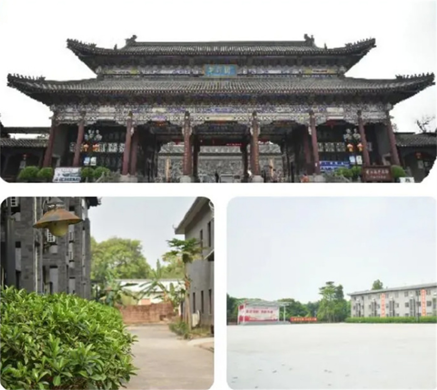 国内10大青少年自驱型学习力训练营排名一览