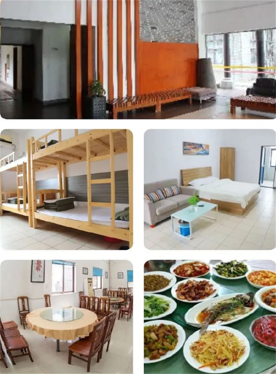 国内10大青少年自驱型学习力训练营排名一览