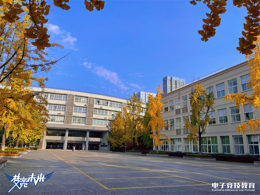 盘点四川5大电竞青训机构排名一览