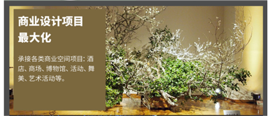 国内十大草月流花道师培训机构排名一览 国内十大草月流花道师培训机构排名一览