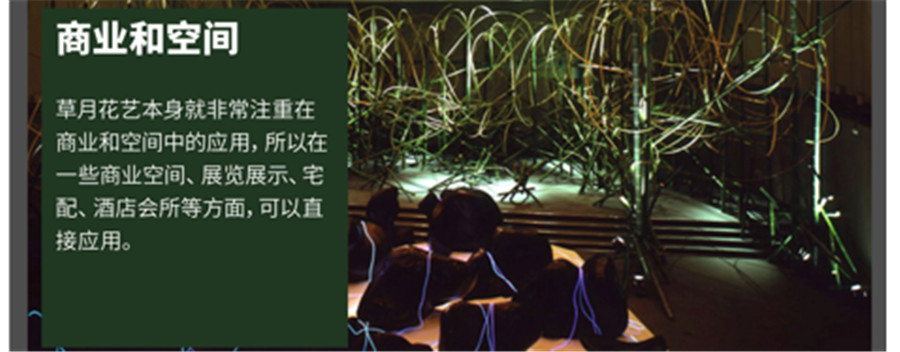 国内十大草月流花道师培训机构排名一览 国内十大草月流花道师培训机构排名一览