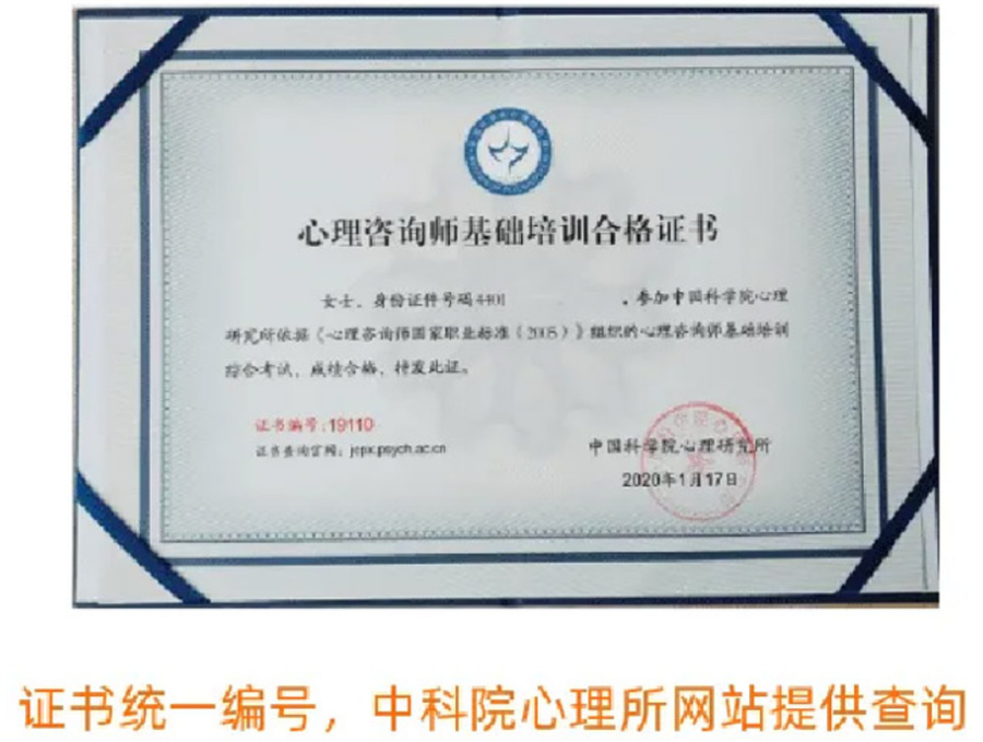 盘点十大国内心理咨询师培训考证机构排名一览 盘点十大国内心理咨询师培训考证机构排名一览