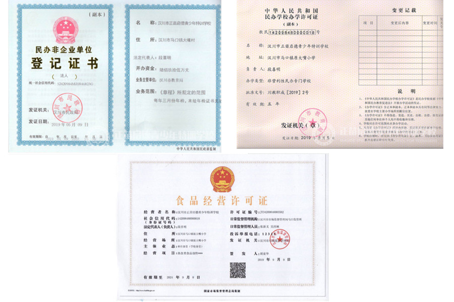 十大丽水叛逆孩子全封闭管教学校排名一览名单-浙江正苗启德 十大丽水叛逆孩子全封闭管教学校排名一览名单-浙江正苗启德