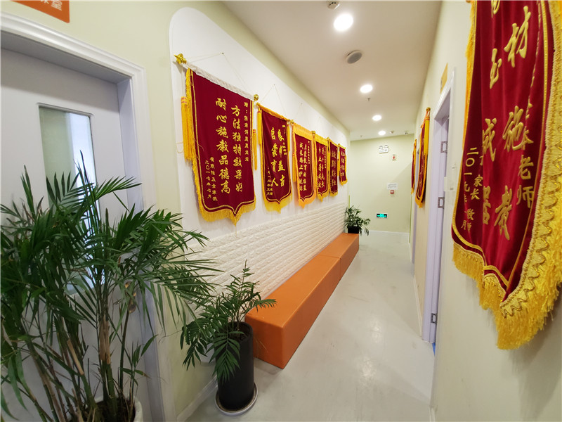 五大苏州工业园区儿童语言发育迟缓康复机构排名一览