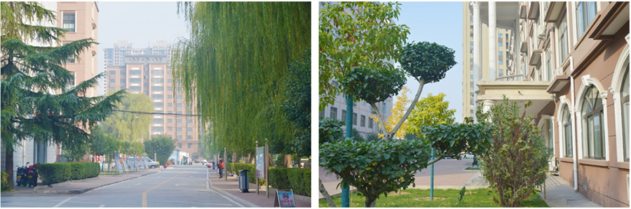 河南公办3+2学校口碑排名一览