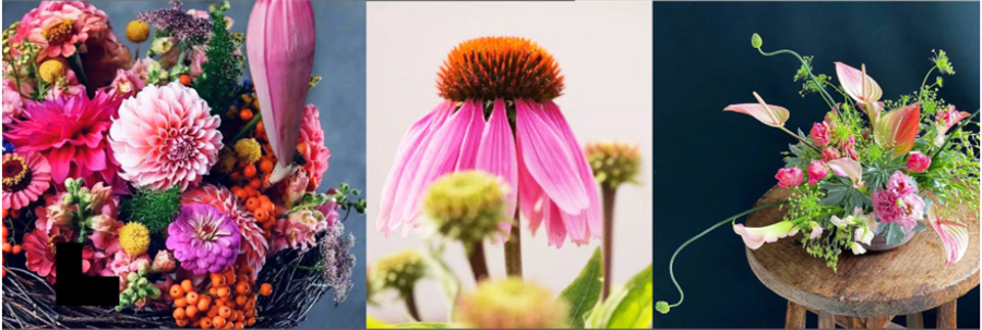 全国好评十大花艺插花鲜花培训学校排名一览