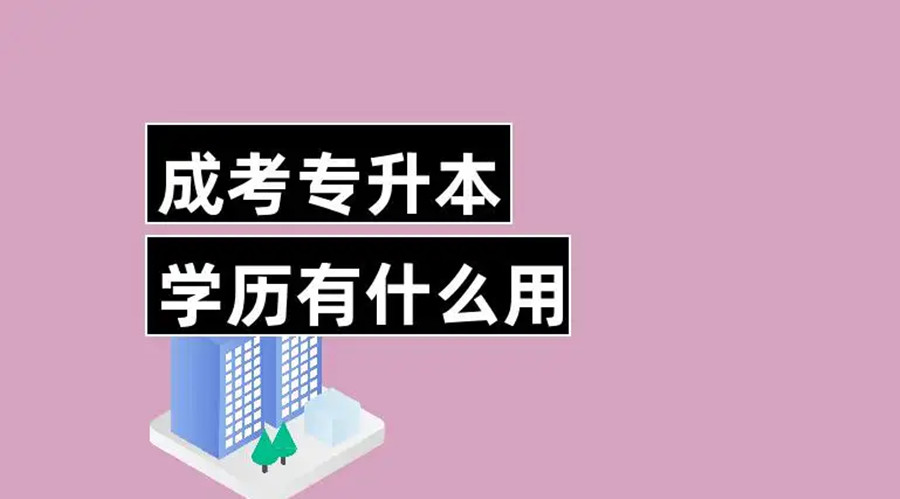 盘点义乌成考专升本培训机构十大排名一览.jpg