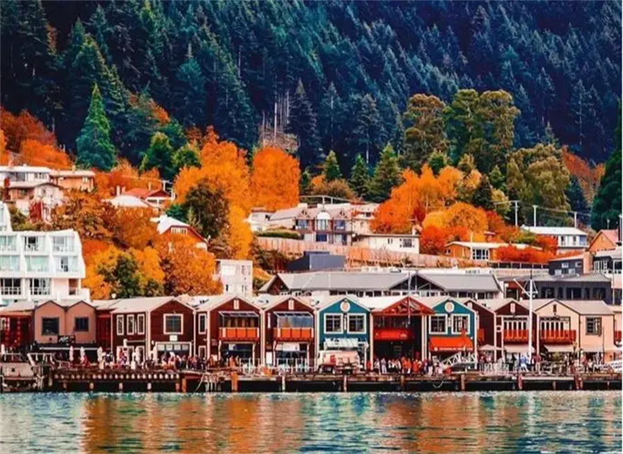 广州新西兰留学中介机构5大排名一览