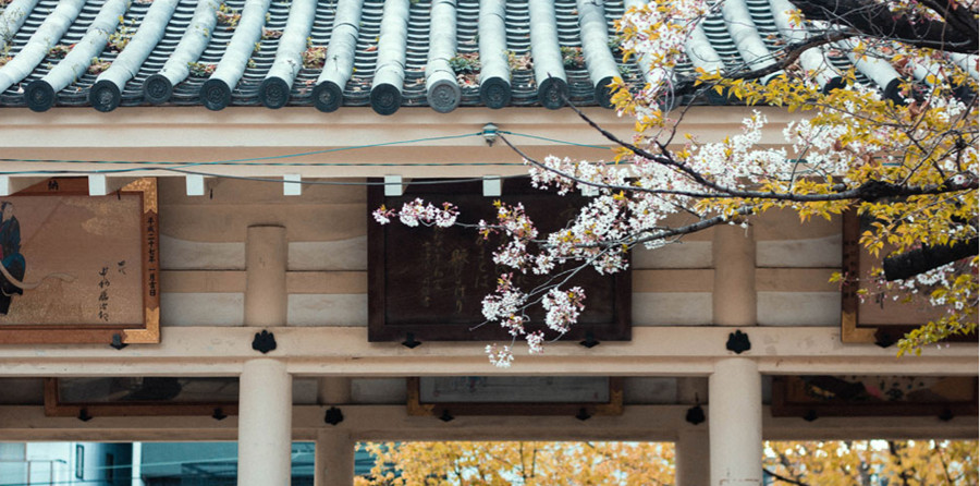 北京十大好评日本艺术留学中介机构排名一览jpg