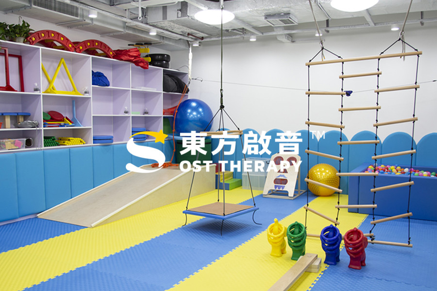 上海自闭症(孤独症)康复训练机构十大排名一览名单