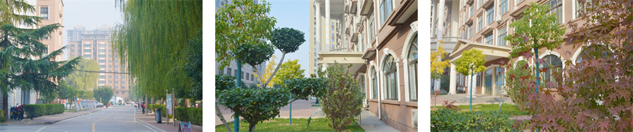 郑州10大公办3+2学校排名一览 郑州10大公办3+2学校排名一览