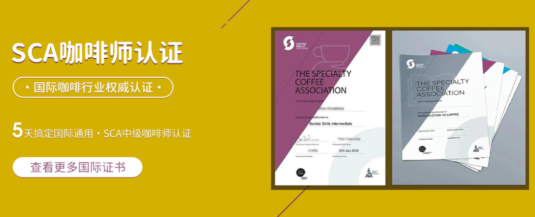 上海咖啡师资格证考试培训机构新10大排名