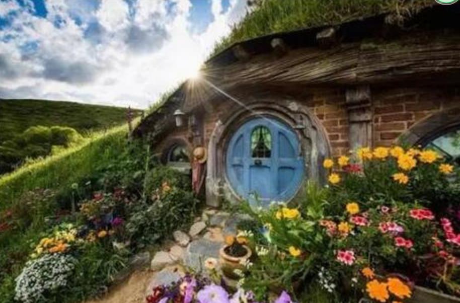 乌鲁木齐排名前三的新西兰留学申请中介机构一览 乌鲁木齐排名前三的新西兰留学申请中介机构一览