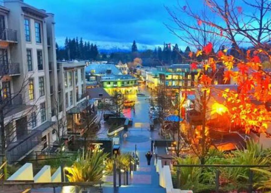 乌鲁木齐排名前三的新西兰留学申请中介机构一览 乌鲁木齐排名前三的新西兰留学申请中介机构一览