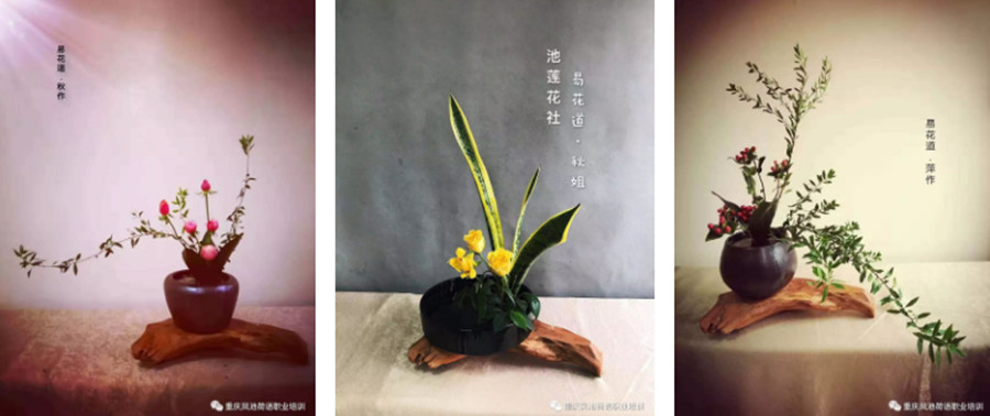 重庆口碑不错的插花培训学校推荐-凤池荷语.jpg 重庆口碑不错的插花培训学校推荐-凤池荷语.jpg