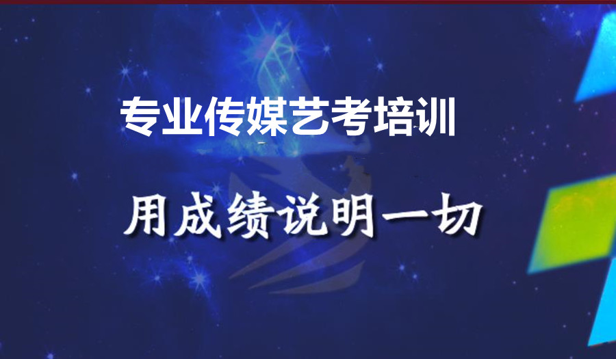 传媒艺考与纯文化生及传统艺考的差异是什么? 传媒艺考与纯文化生及传统艺考的差异是什么?