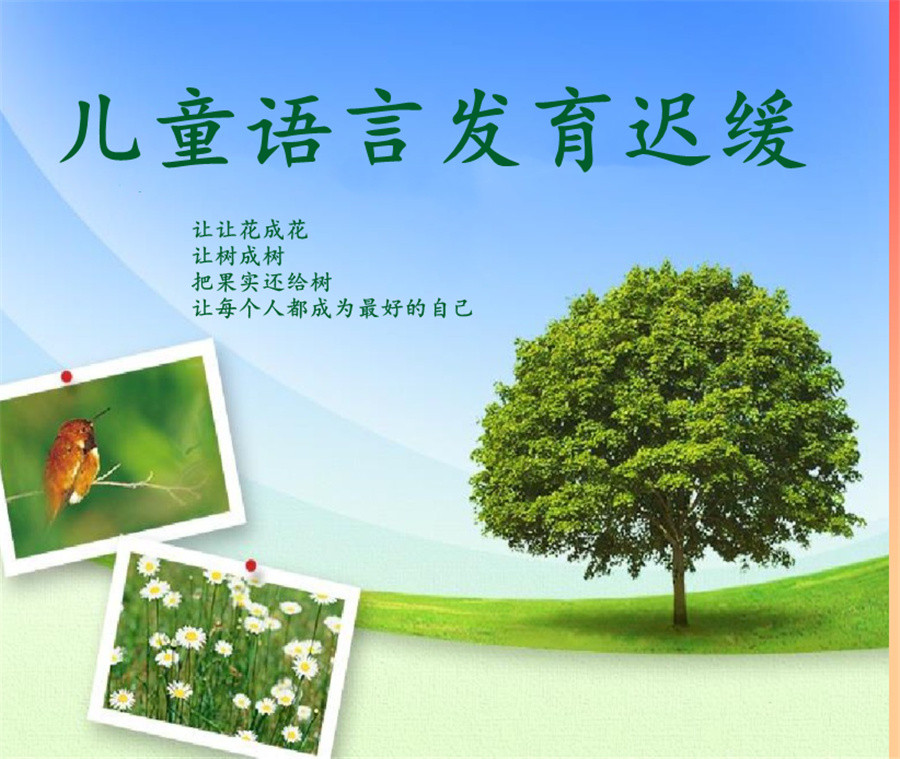 三大福州鼓楼区自闭症普系儿童康复训练机构排名 三大福州鼓楼区自闭症普系儿童康复训练机构排名