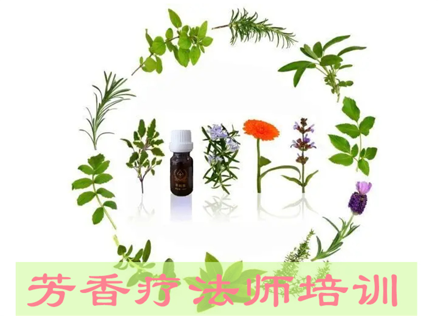 深圳市专业芳疗师考证培训机构实力推荐一览