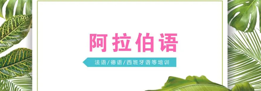 北京好评高的阿拉伯语培训机构推荐一览