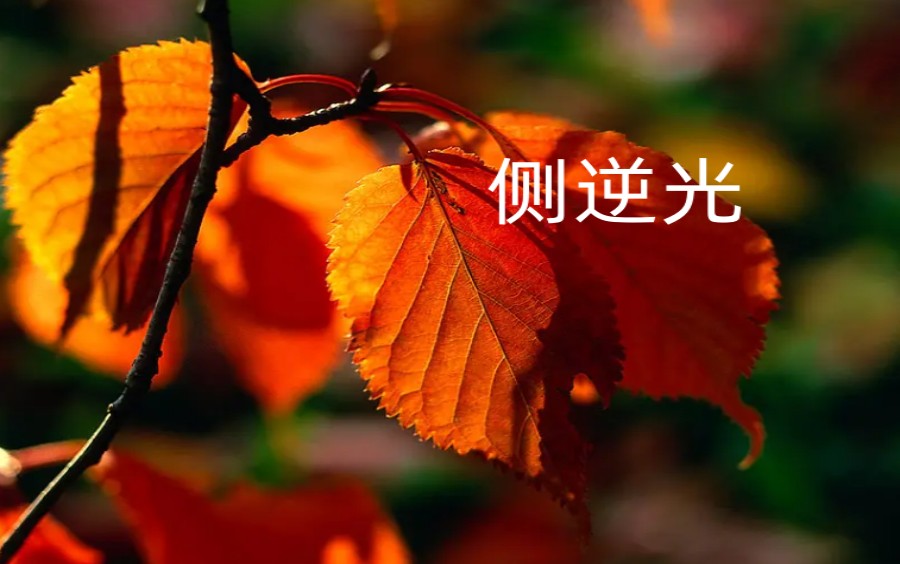 光线对摄影有哪些影响jpg 光线对摄影有哪些影响jpg