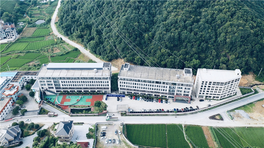 杭州音乐艺考机构综合排名榜一览