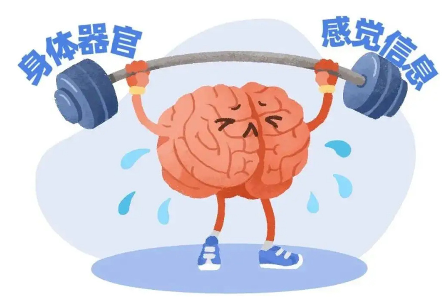 莱芜自闭症儿童感统失调康复机构五大排名一览-济南儿童发育障碍康复中心 莱芜自闭症儿童感统失调康复机构五大排名一览-济南儿童发育障碍康复中心