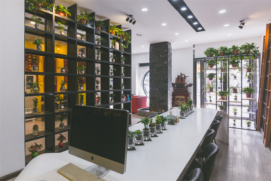 阳泉空乘艺考培训机构口碑推荐一览